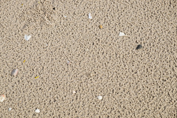 Fototapeta na wymiar Soft sand brown on the beach
