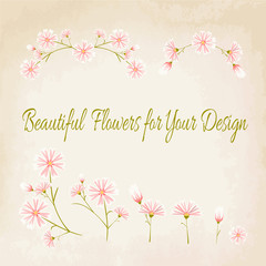 Beautiful pink aster daisy flower design elements