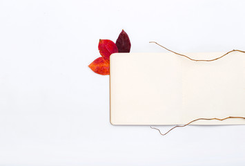 Open notepad with autumn leaves on a white background