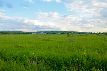 Green meadow and blue sky