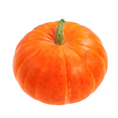 Pumpkin isolated  on white background,