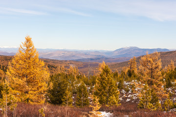snow in autumn mountains