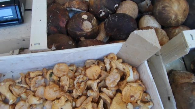 Fresh porcini and chanterelles mushrooms for sale on stand in outdoor market.