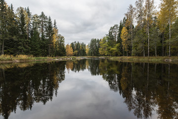 Fototapeta na wymiar Swedish river landscape in autumn