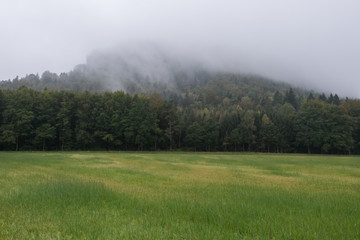 Obraz na płótnie Canvas Nationalpark sächsische Schweiz Elbsandsteingebirge Lilienstein