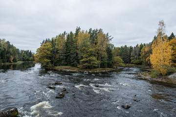 Swedish river landscape in autumn