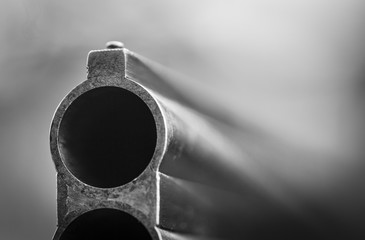 The trunk of shotgun