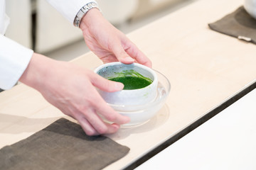 Obraz na płótnie Canvas Japanese tea ceremony - Serving a cup of tea 