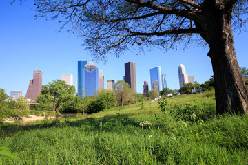 Tree framing view of downtown Houston city, Texas 