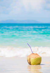 fresh coconut cocktail on tropical beach