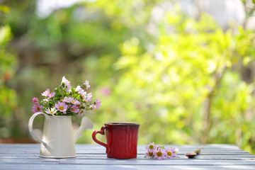 flower in white pot and red cup