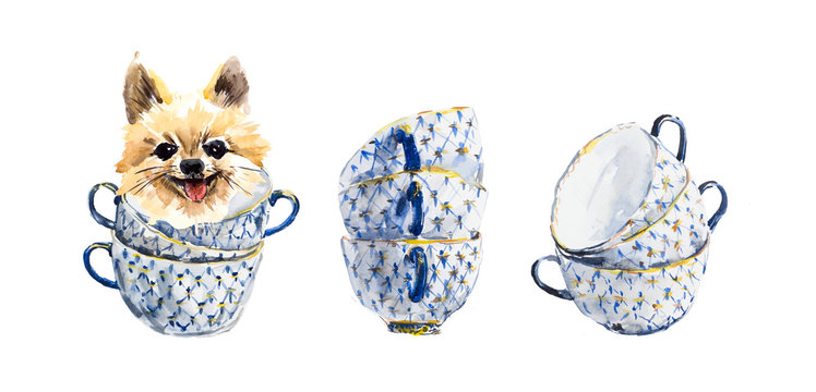 German Spitz. Stacked fancy multi-colored tea cups