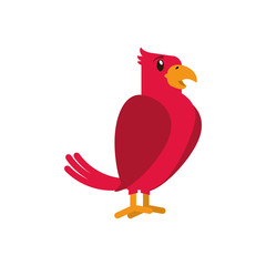 Bird cartoon icon. Pet animal domestic and care theme. Isolated design. Vector illustration