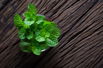 Fototapeta premium Peppermint in the glass