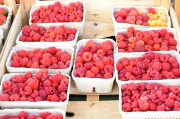 Punnets of fresh raspberries in a supermarket