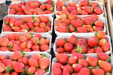 Punnets of fresh strawberries in a supermarket