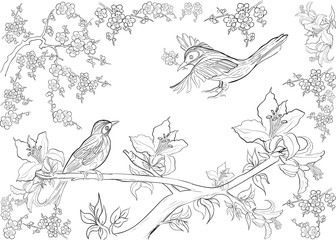 Hand drawn ink pattern. Coloring book for adult