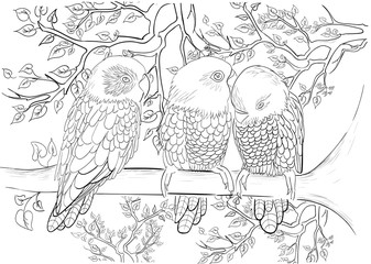 Hand drawn ink pattern. Coloring book for adult