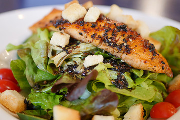 grilled salmon salad with black pepper