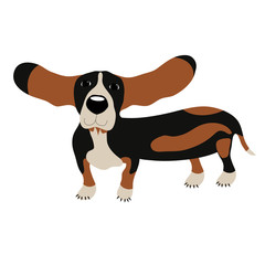 Dog Basset Hound