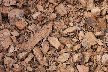 dry coconut shell textured background