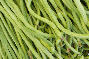 fresh cowpea or cow pea closeup shot