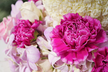 carnation flower, mother day concept