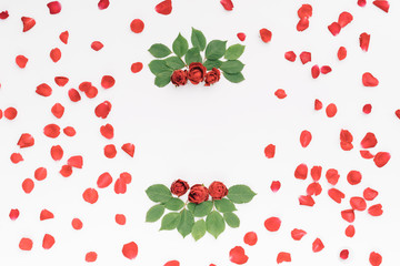 Red roses on white background.