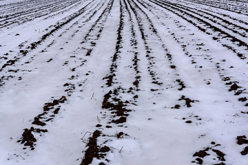 field ground snow winter