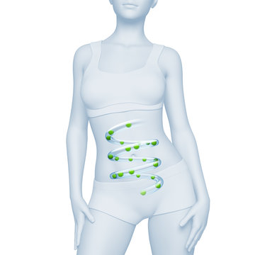 Oberkörper junger Frau mit Magen-Darm-Trakt