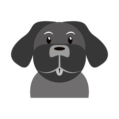 Dog cartoon icon. Pet animal domestic and care theme. Isolated design. Vector illustration