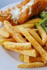 french fires with spicy seasoning