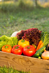 fresh organic vegetables