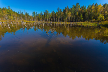гладь воды