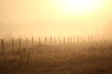 Holzzaun bei Sonnenaufgang