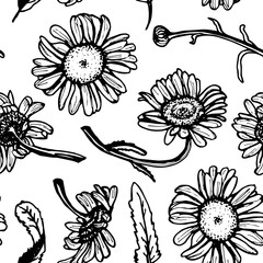 Beautiful vintage background with black daisies seamless patern on white background. Vector