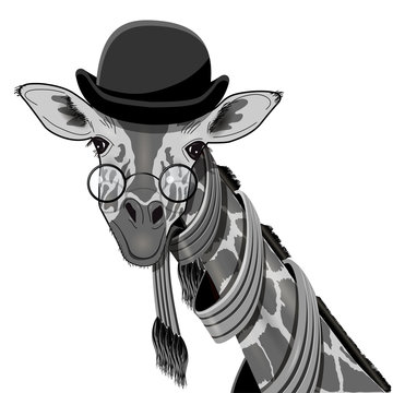 Giraffe in Bowler Hat