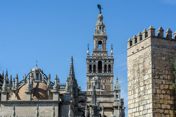 Fototapeta na wymiar Giralda Tower is a famous landmark in the city of Seville, Spain