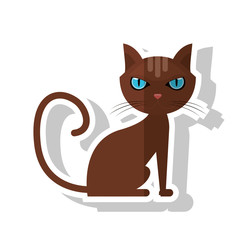 Cat cartoon icon. Pet animal domestic and care theme. Isolated design. Vector illustration