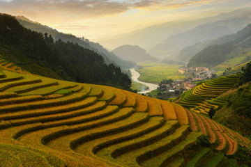 Obraz premium Rice fields on terraced of Mu Cang Chai, YenBai, Vietnam