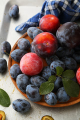 Harvest of fresh and ripe plums