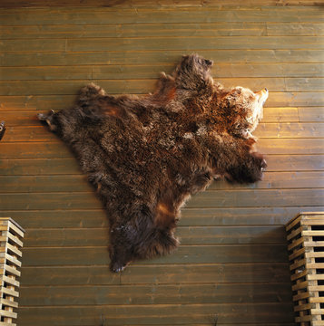 A fur pelt on a wooden floor.