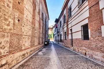 Fototapeta na wymiar Landscapes, streets, monuments, houses and old buildings of the town of Alcala de Henares, Spain 