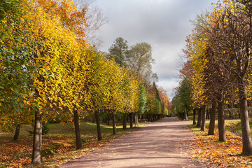 Naklejka premium Autumn landscape in park