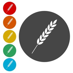 Wheat icon set 