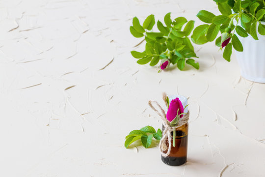 Rose essential oil in a glass bottle on a light table. Used in medicine, cosmetics and aromatherapy. Fresh flowers and green leaves.