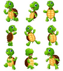 Fototapeta premium Zestaw kolekcja kreskówka szczęśliwy żółw