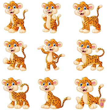 Leopard cartoon set collection