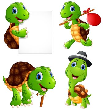 Set of funny turtle on a white background
