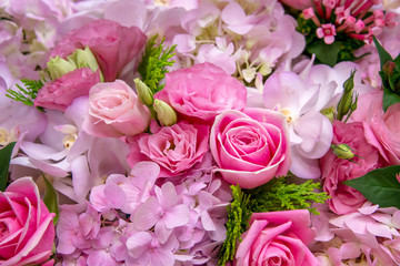 bunch of beautiful color of flowers